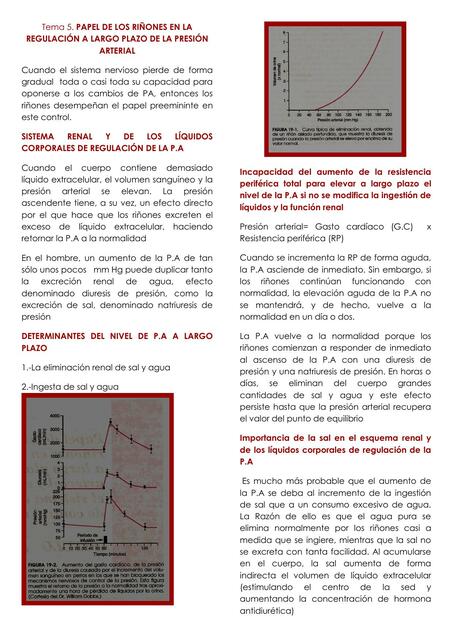 Fisiología cardiovascular: Papel de los riñones en la regulación a largo plazo de la presión arterial