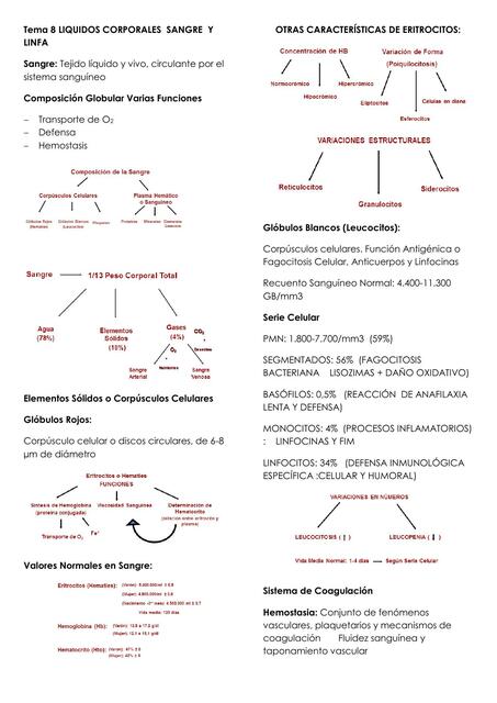 Fisiología cardiovascular : Líquidos corporales, sangre y linfa