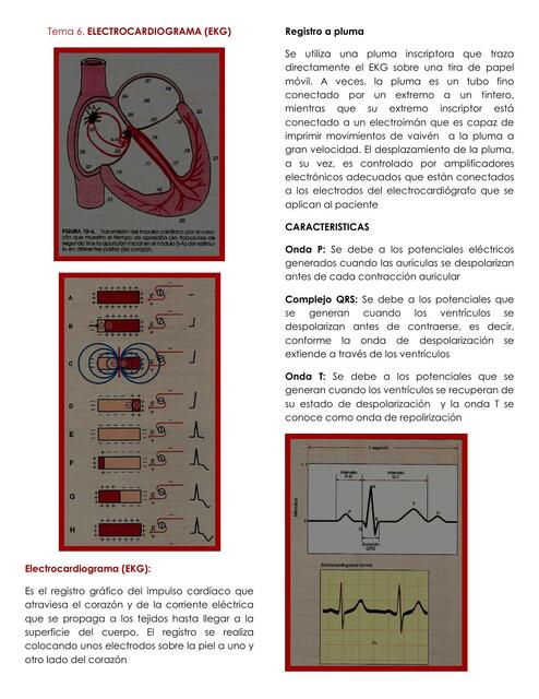 Fisiología cardiovascular: Electrocardiograma