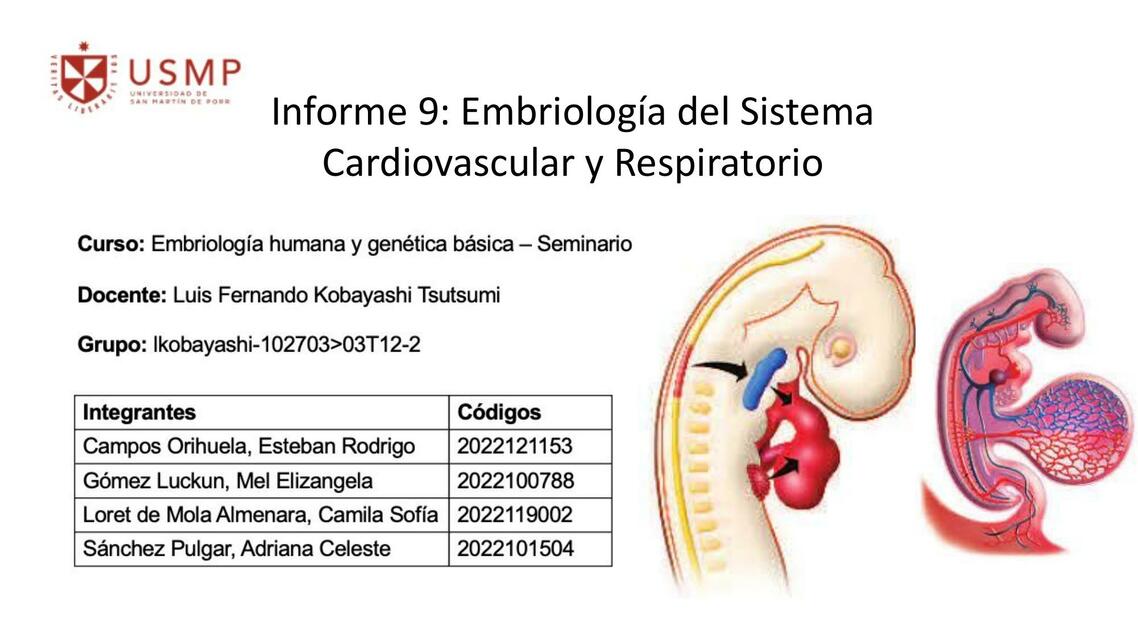 Embriología del Sistema Cardiovascular y Respiratorio