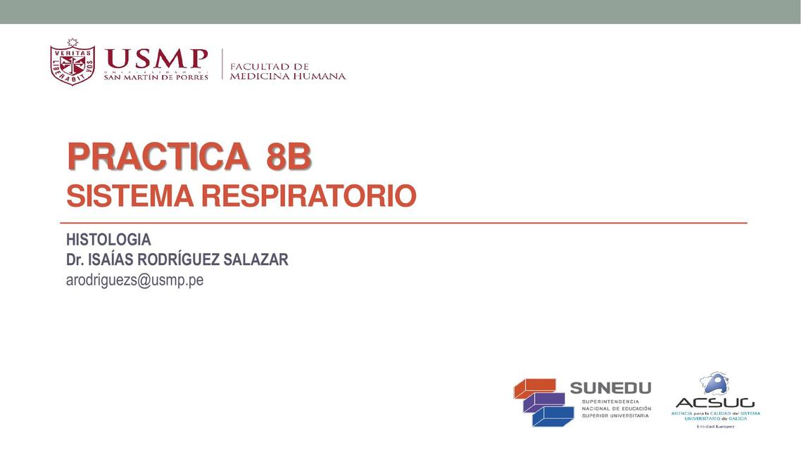 Sistema Respiratorio 