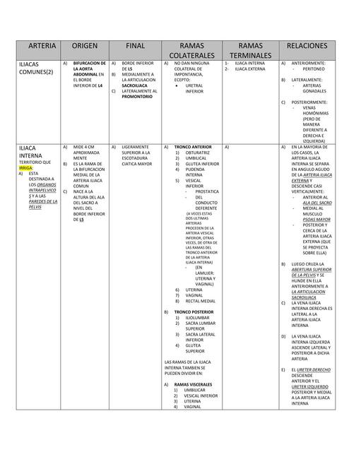 Irrigación del miembro inferior