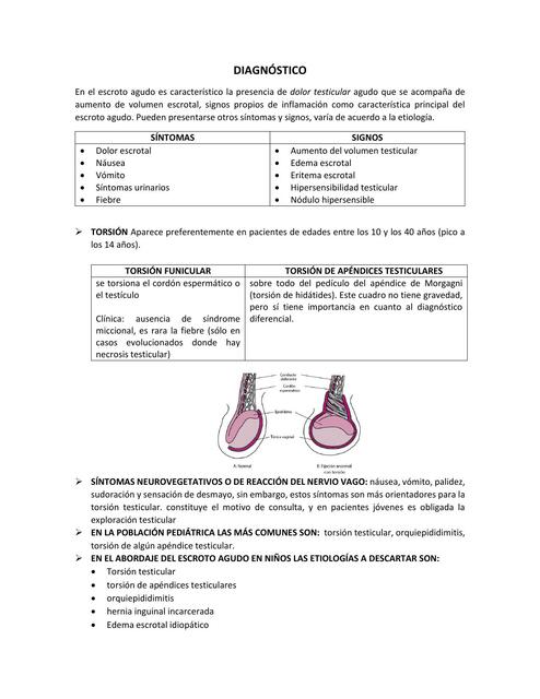 DIAGNÓSTICO ESCROTO AGUDO