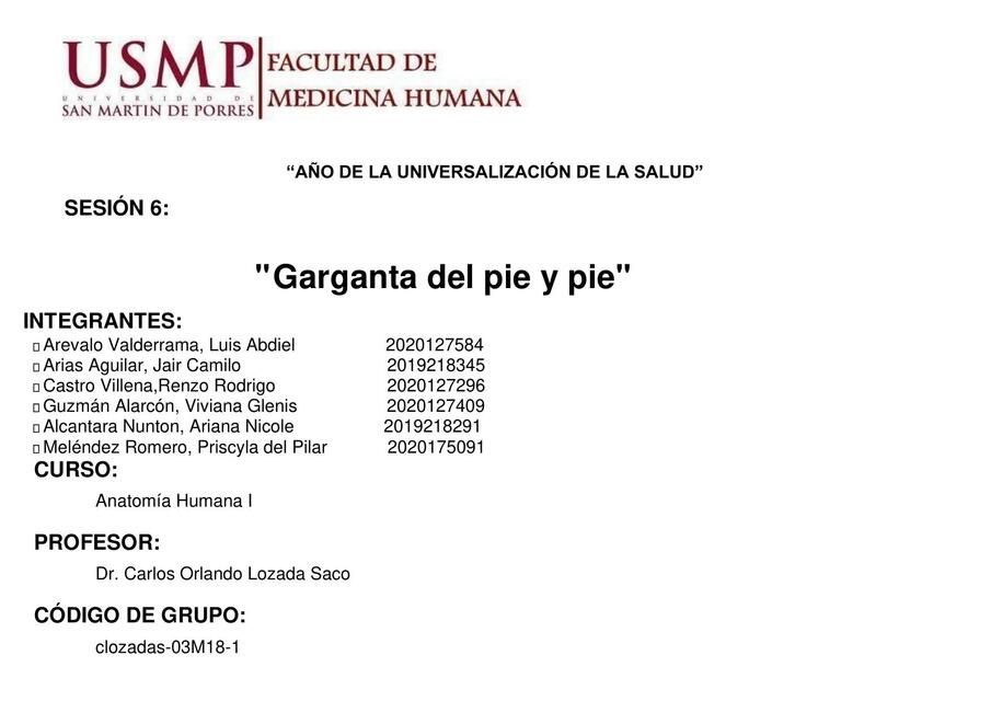 Gargante del pie y pie 