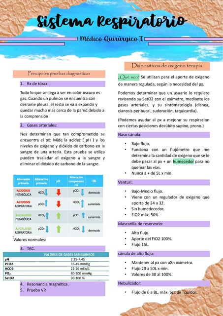 Qx I: Sistema respiratorio