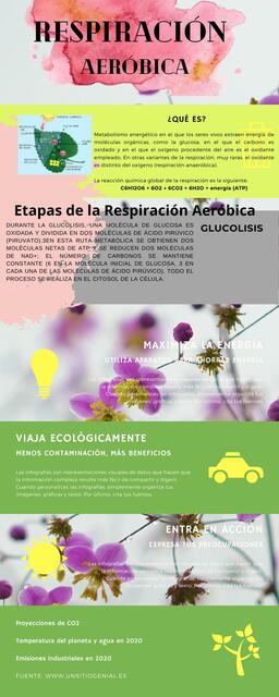 Respiración aeróbica 