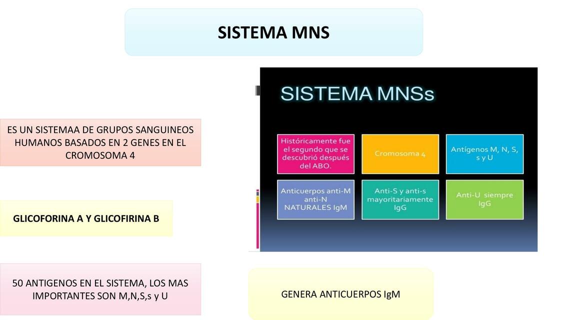 Otros Grupos Sanguíneos