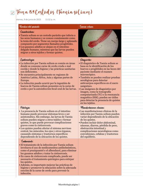Cestodos Taenia solium