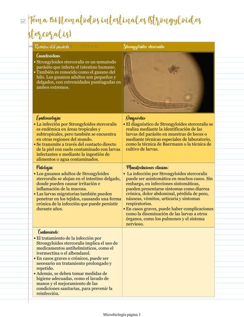 Nematodos intestinales Strongyloides stercoralis