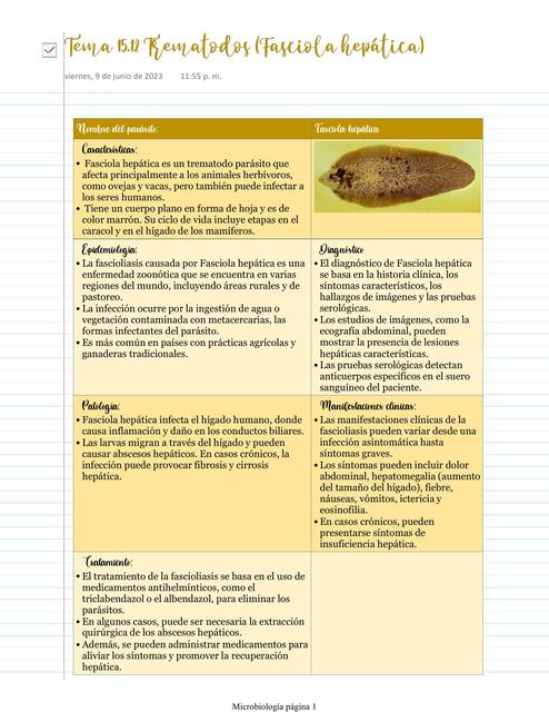 Trematodos Fasciola hepática