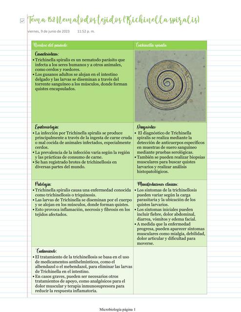 Nematodos tejidos Trichinella spiralis