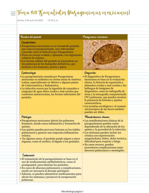 Trematodos Paragonimus mexicanus