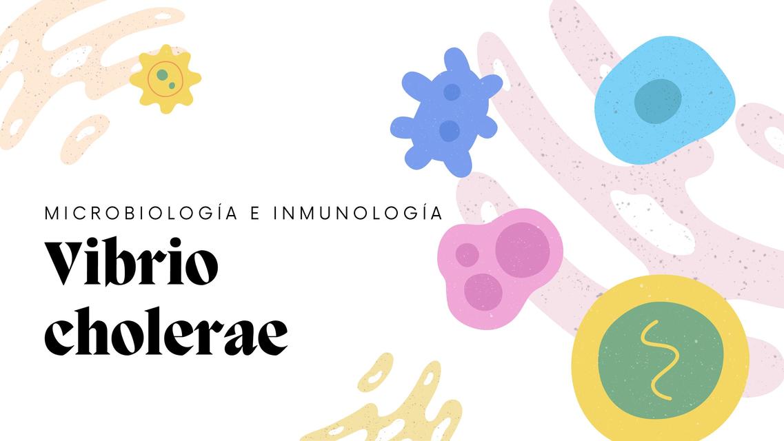 Microbiología Vibrio Cholerae 