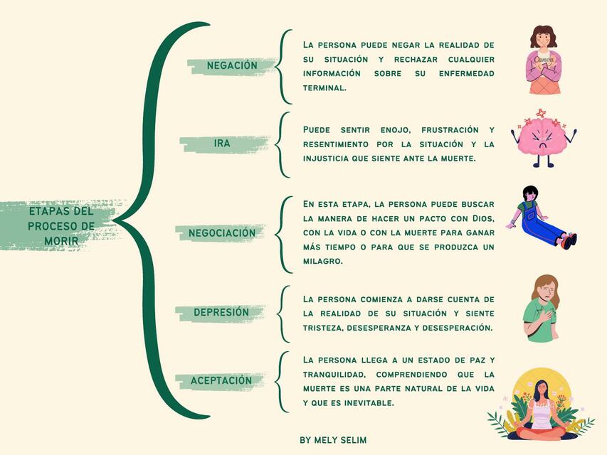 Cuadro Sinóptico etapas del proceso de morir | Selim Studies | uDocz