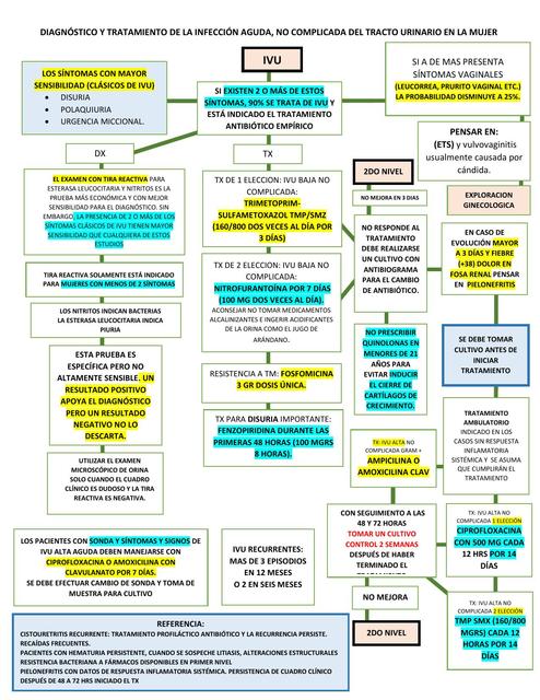 Diagnóstico y tratamiento de la infección aguda, no complicada del tracto urinario en la mujer