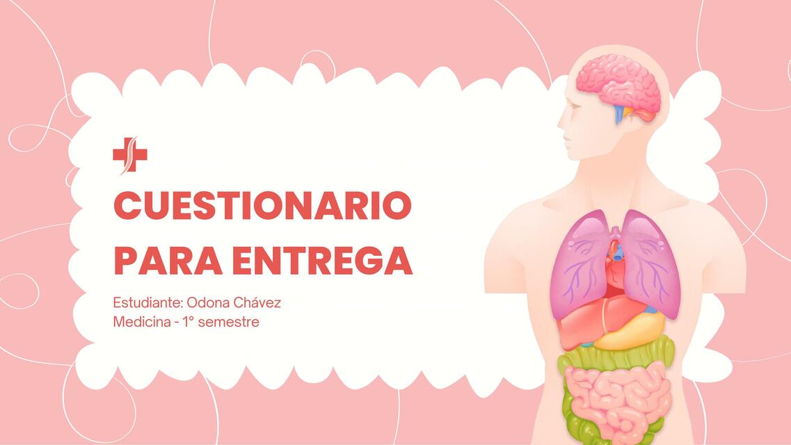 Preguntas de Sistema Cardiovascular 