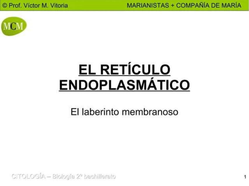 El retículo endoplasmático 