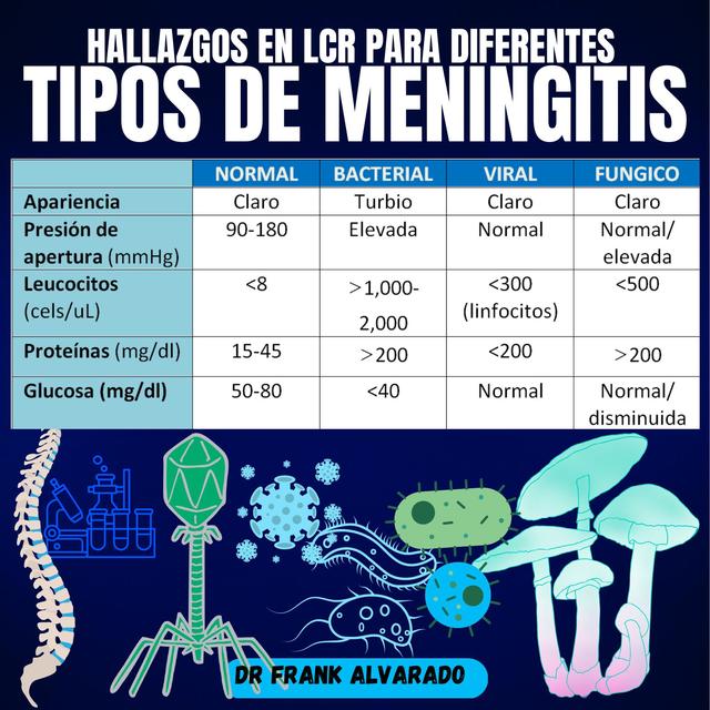 Tipos De Meningitis Mois S Francisco Alvarado Garc A Udocz