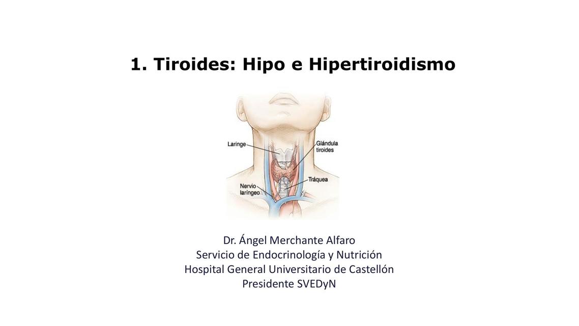 Tiroides: Hipo e hipertiroidismo