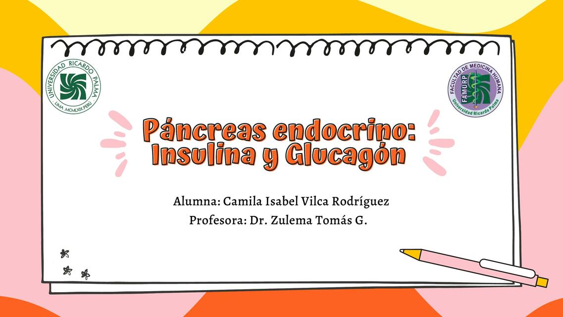 Páncreas endocrino Insulina Glucagón