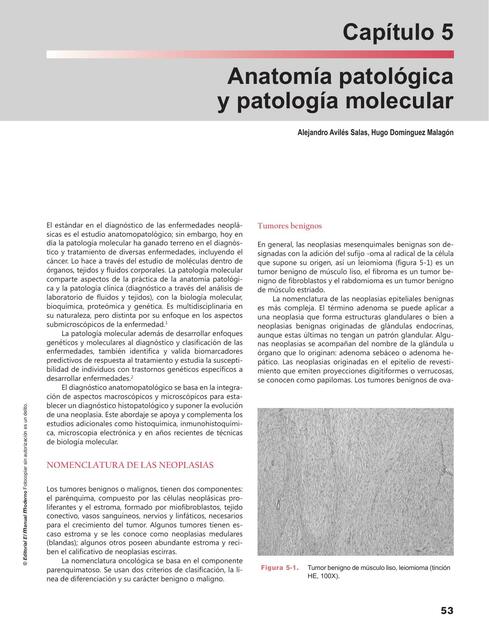 Tratamiento del cancer oncologico