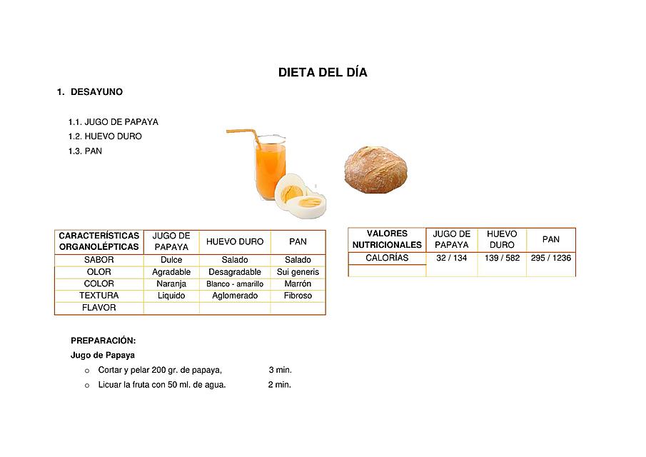 DIETA DEL DÍA T1 TC2 Alcalde Ana