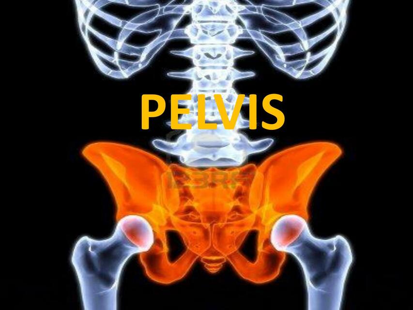 Pelvis obstretica