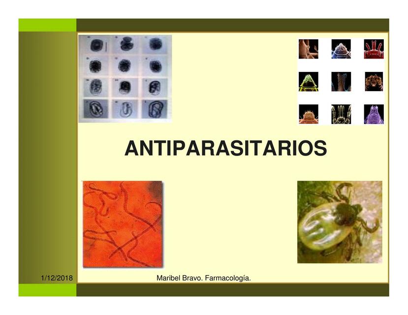 Antiparasitarios animales