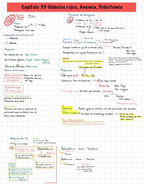 Glóbulos rojos, anemia y policitema