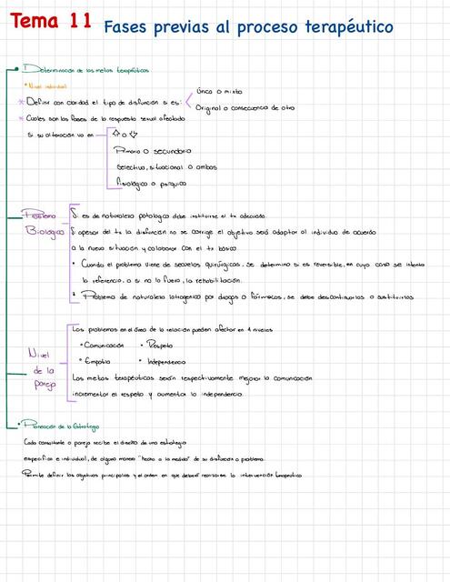 Fases previas al proceso terapéutico