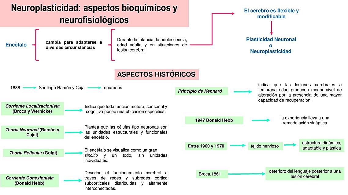 Resumen Neuroplasticidad Sináptica