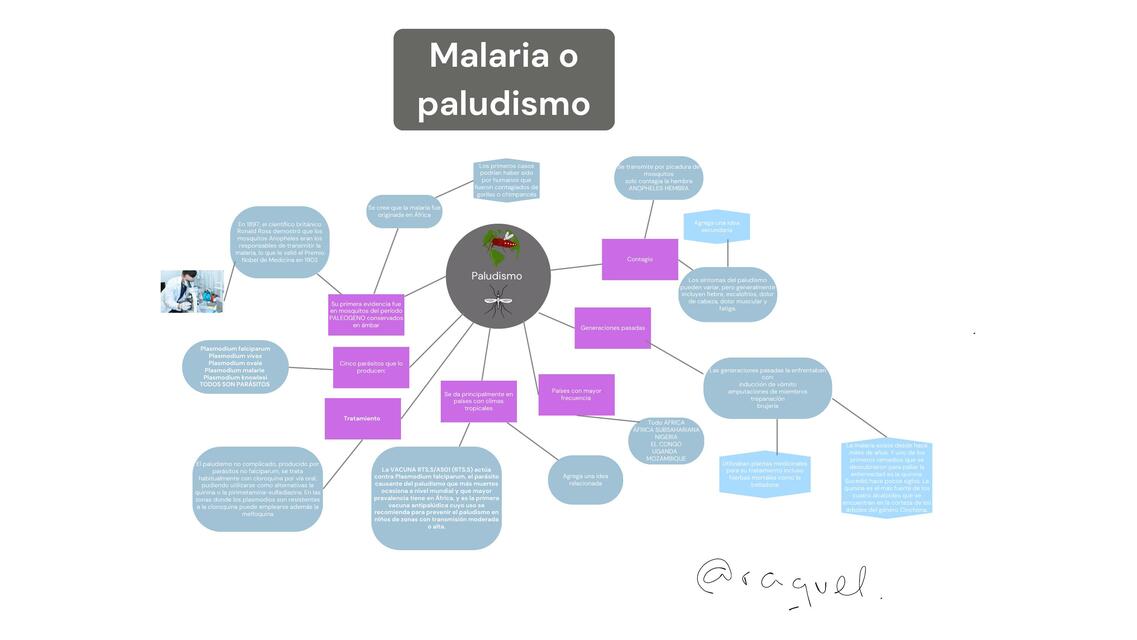 Malaria mapa conceptual