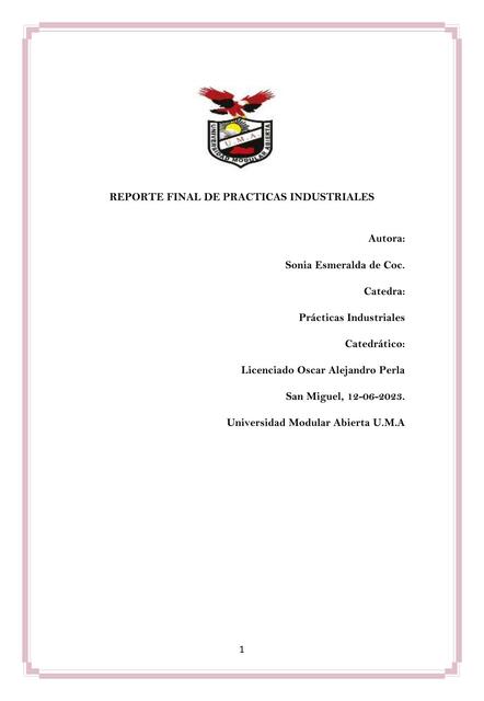 Reporte final de practicas industriales