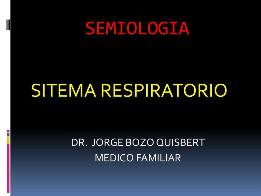 Sistema respiratorio