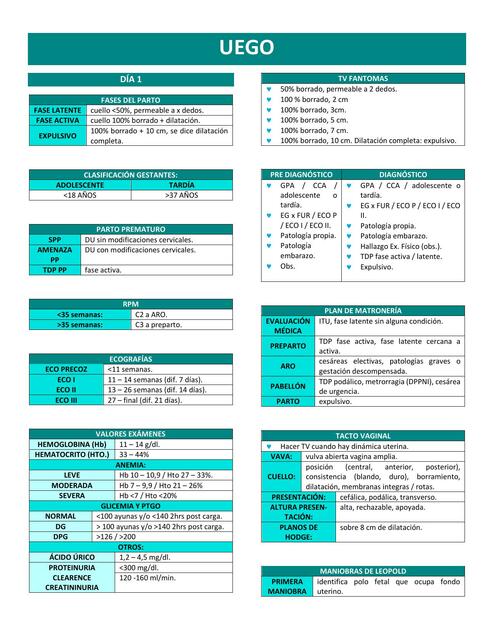 Resumen Unidad de Emergencia Gineco-Obstétrica