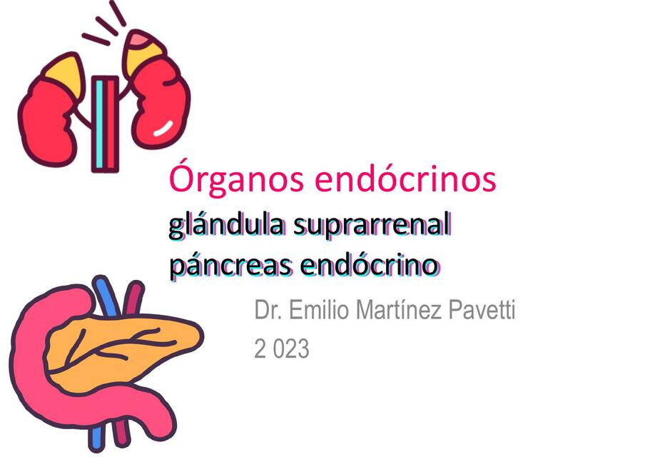 Endocrino suprarrenal y páncreas endocrino