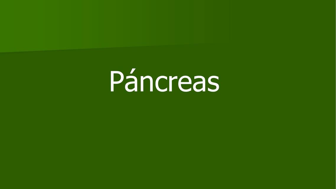 Páncreas 