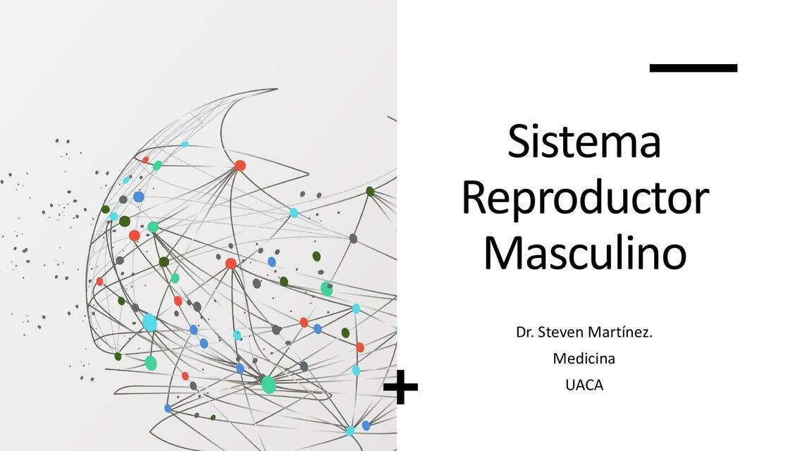 Sistema Reproductor Masculino