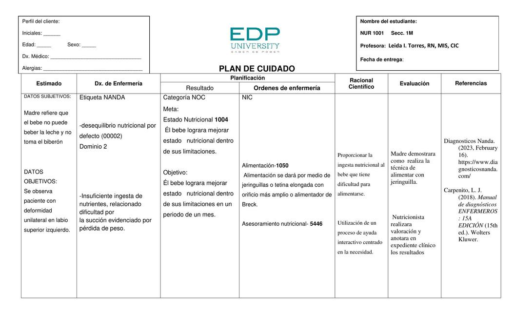 TABLA PLAN DE CUIDADO LABIO LEPORINO 2