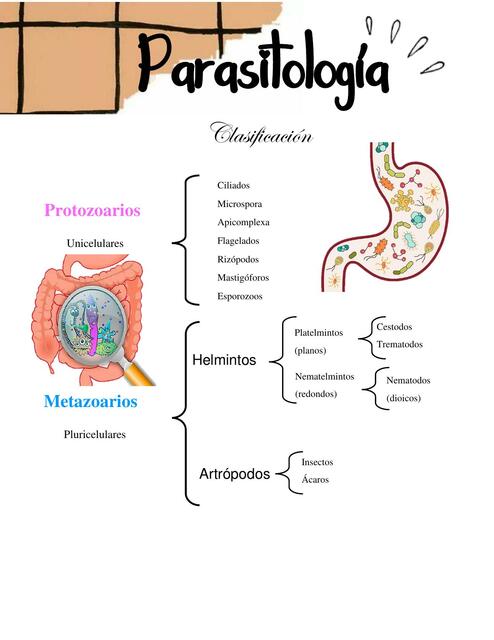 Apuntes de parasitologia