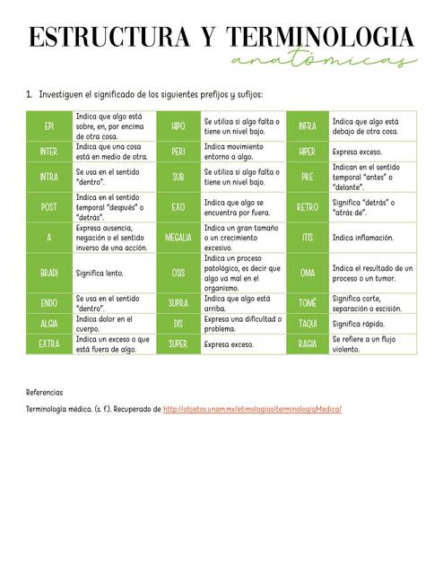 Estructura y teminología anatómica