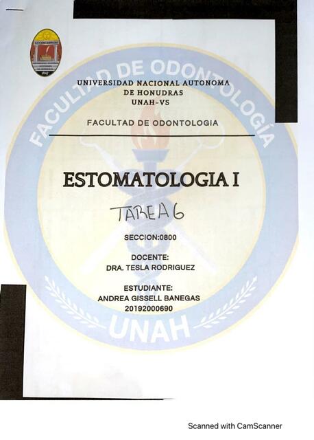 Estomatología I 