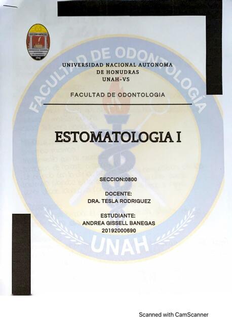 Estomatología I 