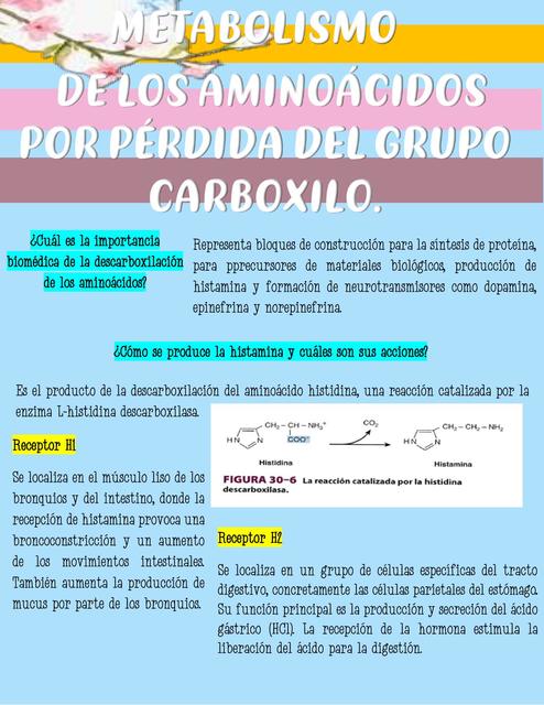 Metabolismo de los aminoacidos por perdida del grupo carboxilo