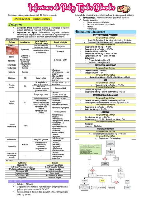 Infecciones de Piel y Tejidos Blandos