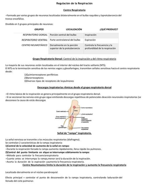 Regulación de la Respiración