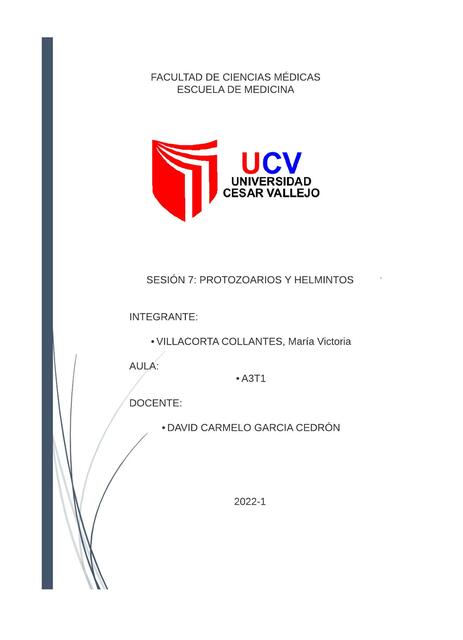 Protozoarios y Helmintos 