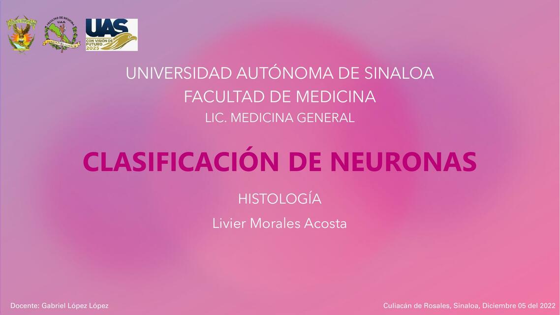 Clasificación de neuronas