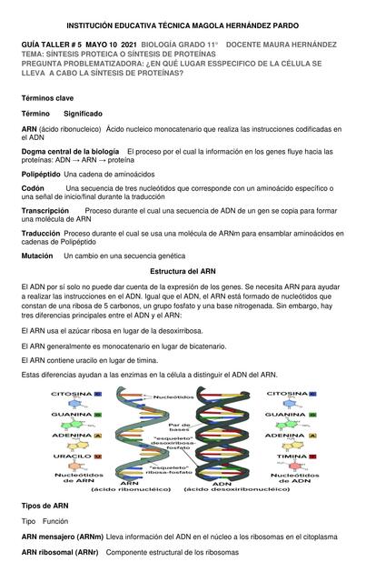 guia taller 5 biologia 11 compress