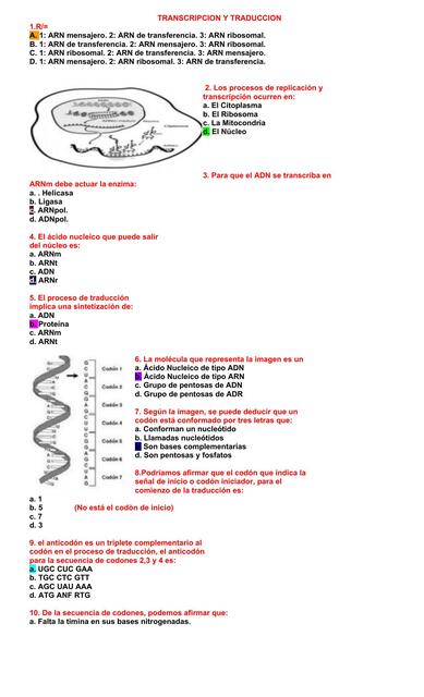 taller 5 transcripcion del arn compress